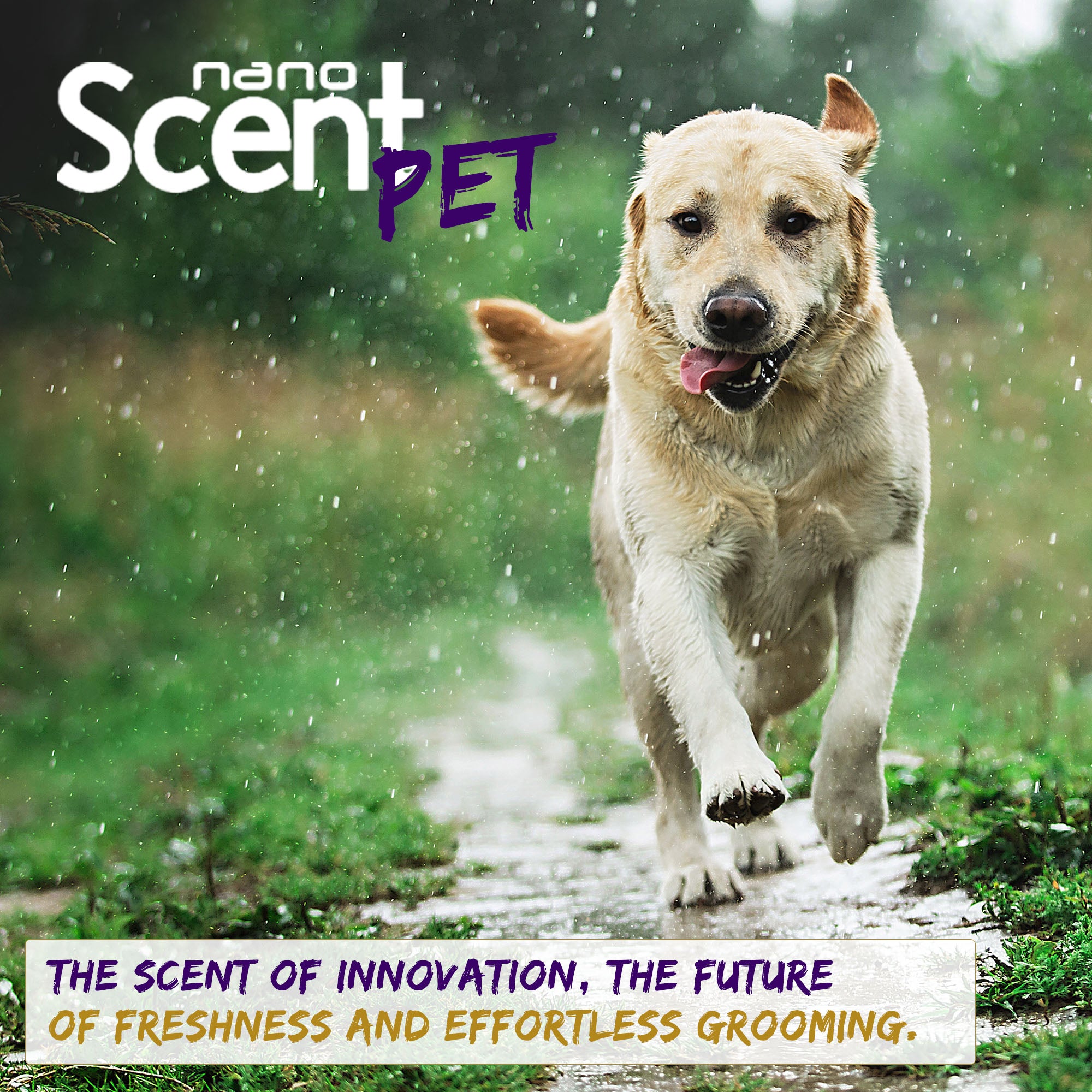 nanoSCENT Pet Detangler Spray – Leave-In Conditioner for Soft, Fresh-Smelling Fur