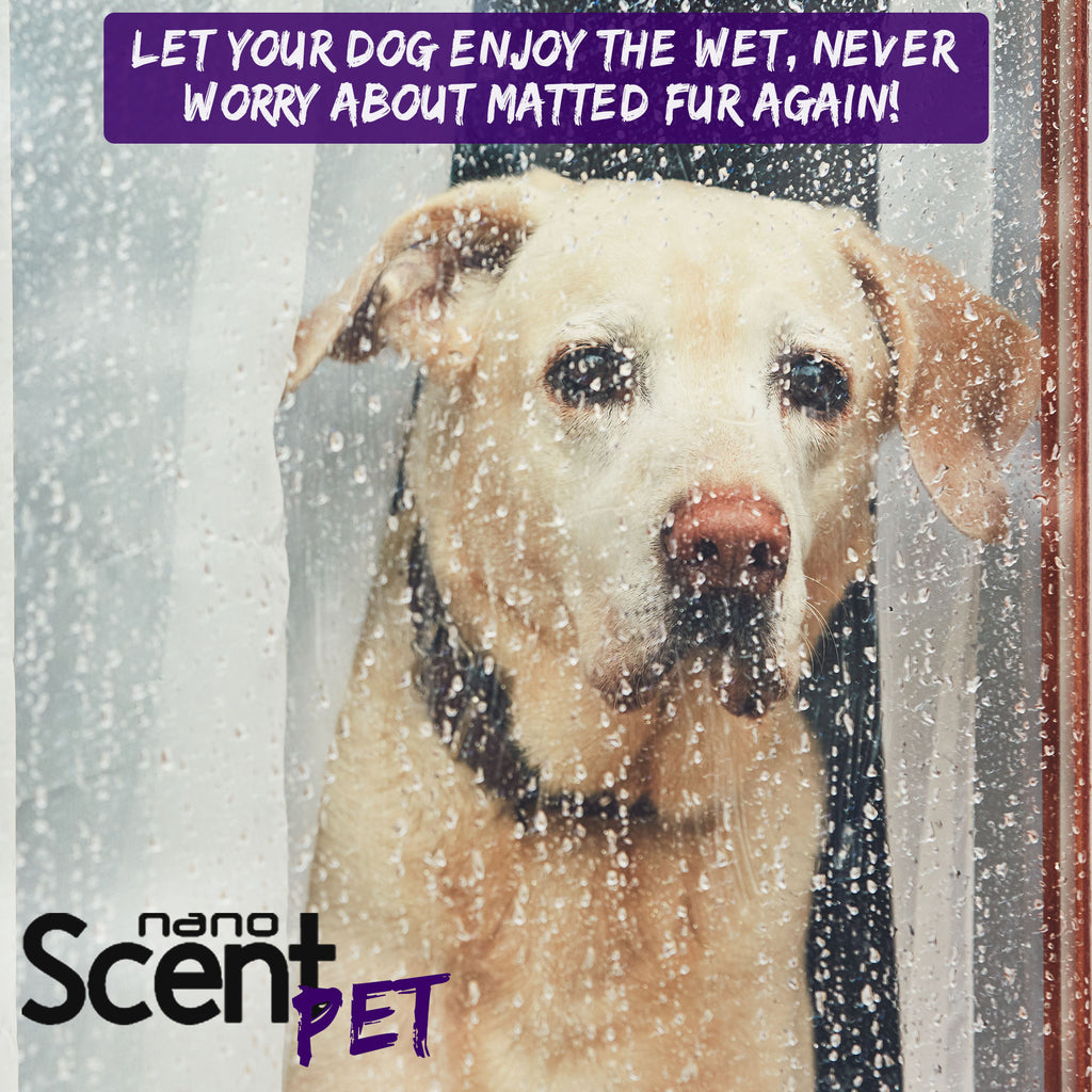 nanoSCENT Pet Detangler Spray – Leave-In Conditioner for Soft, Fresh-Smelling Fur