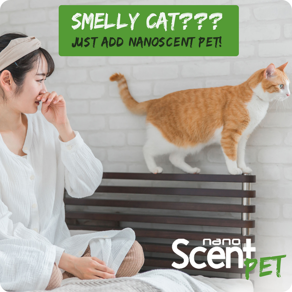 nanoSCENT Pet Freshening Spray – Long-Lasting Odor Neutralizer for Pets & Fabrics