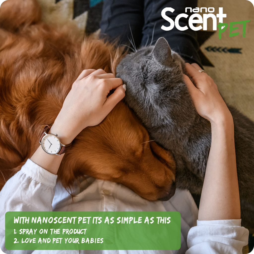 nanoSCENT Pet Freshening Spray – Long-Lasting Odor Neutralizer for Pets & Fabrics