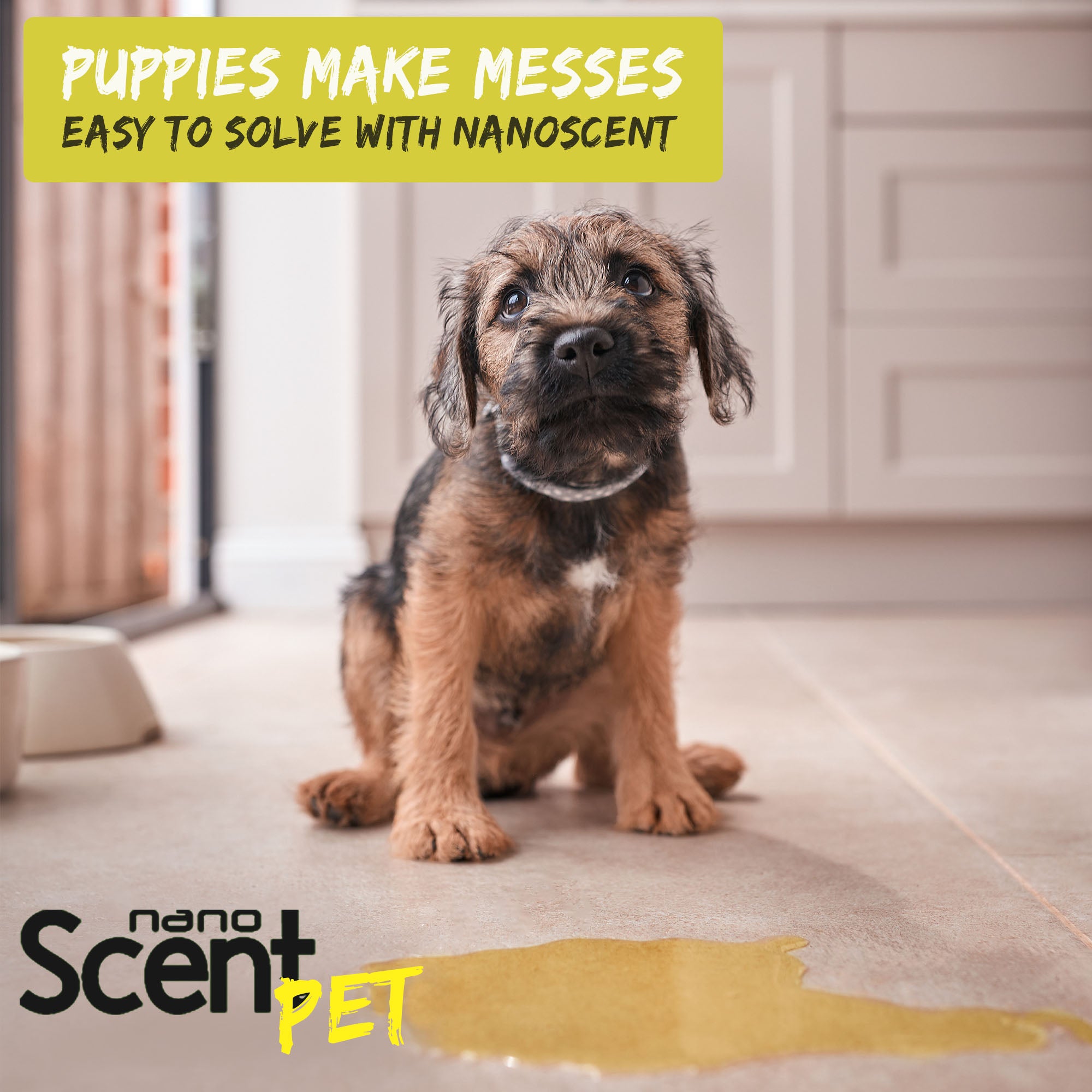 nanoSCENT Pet Urine Remover – Enzyme Odor & Stain Eliminator for Pets & Home