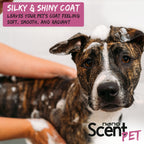 nanoSCENT Pet Shampoo with Sea Salt – Long-Lasting Freshness for Dogs & Cats