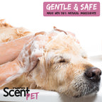 nanoSCENT Pet Shampoo with Sea Salt – Long-Lasting Freshness for Dogs & Cats