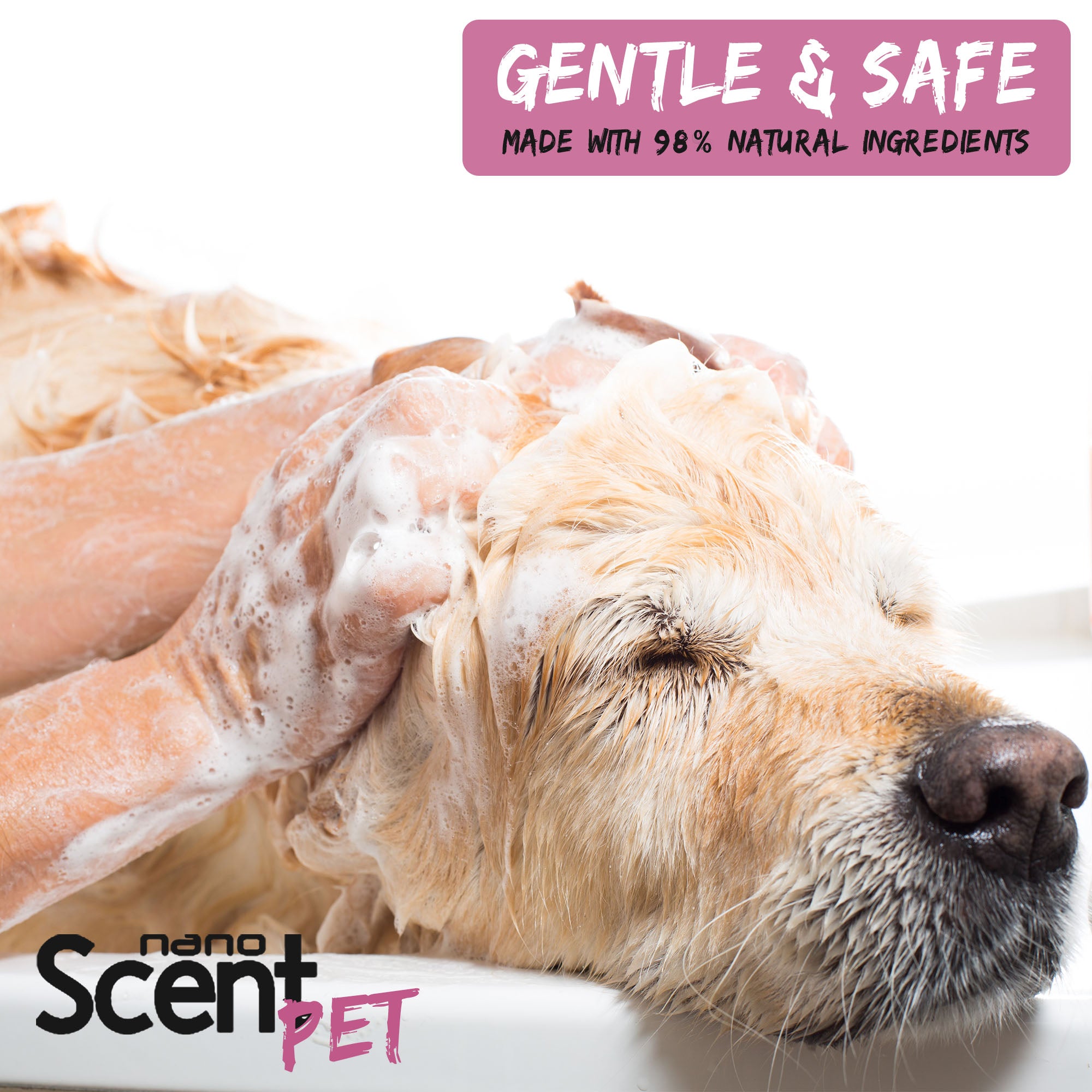 nanoSCENT Pet Shampoo with Sea Salt – Long-Lasting Freshness for Dogs & Cats